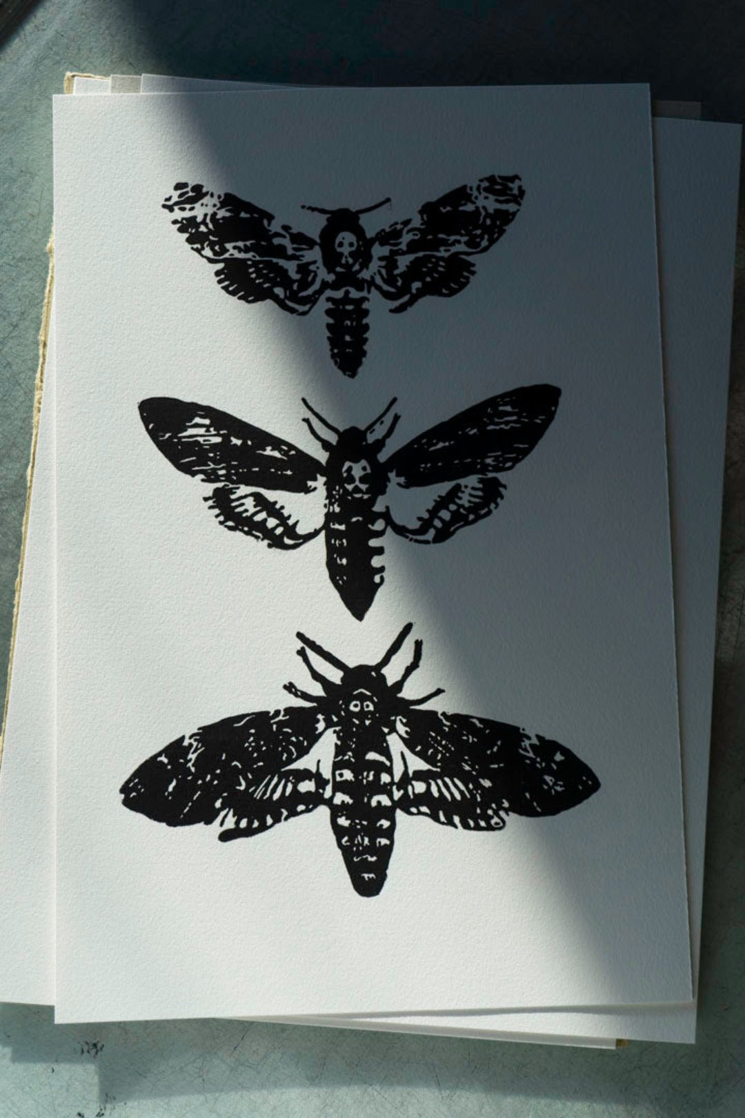 Acherontia Lino Print