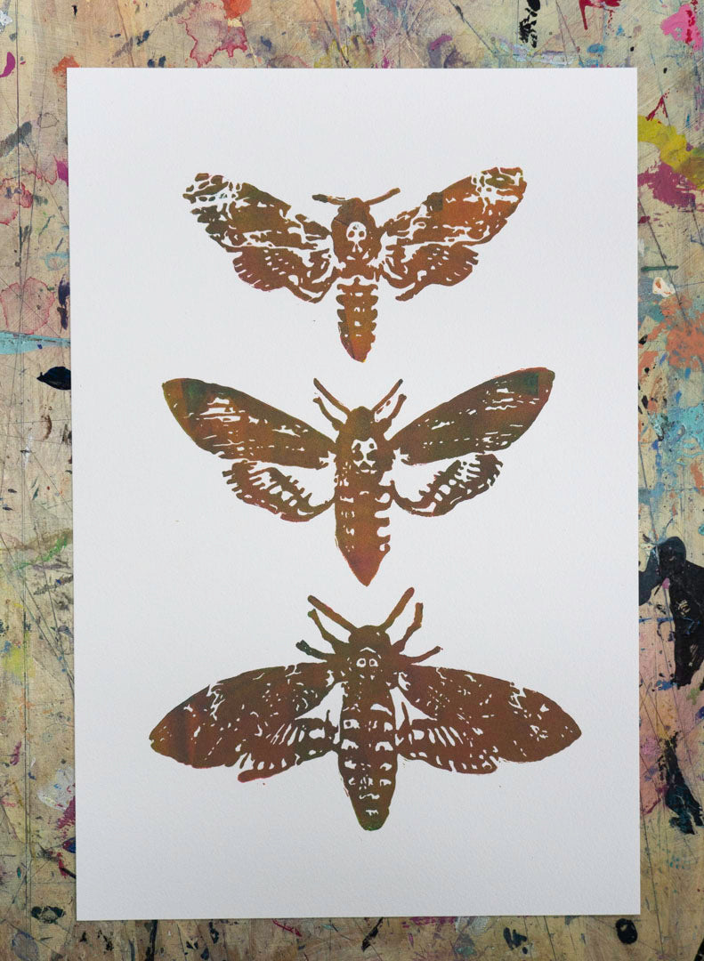 Acherontia Lino Print