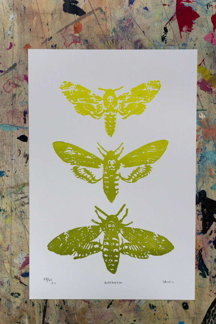 Acherontia Lino Print