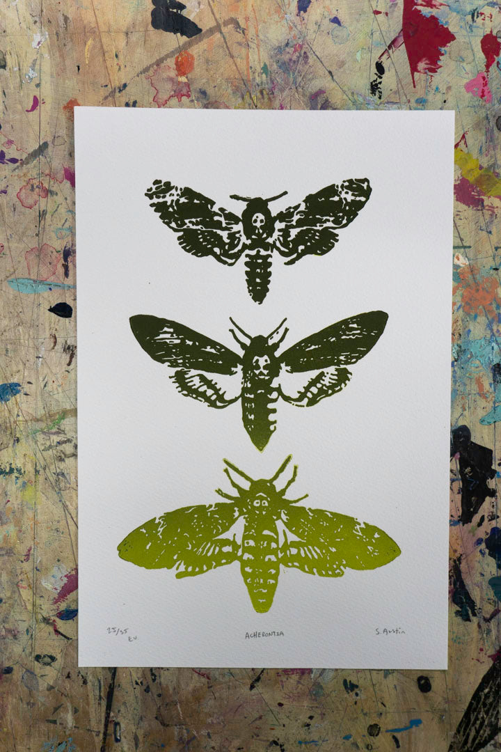 Acherontia Lino Print